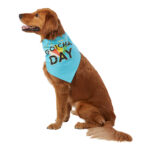 Top Paw® Gotcha Day & Party Animal Reversible Dog Bandana