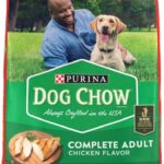 Dog Chow Complete Adult with Real Chicken Dry Dog Food